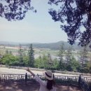 하마낚시터 이미지