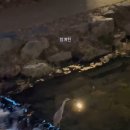 부산 시골쥐 앨리스네 가족의 서울 야경 탐방기: 보신각부터 청계천, 신세계 미디어파사드까지