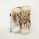 에이치제이상사 이미지