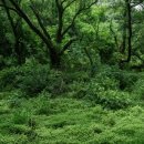 울산문화예술회관 이미지