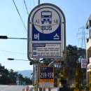 필립(fillip)