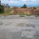 수산리-5 이미지