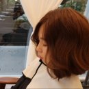 헤세드헤어 이미지