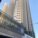 뉴광명동물메디컬센터 이미지