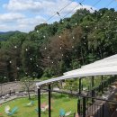 수목가든 이미지