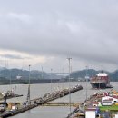 대양농장2 이미지