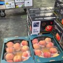 호남청과 이미지