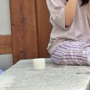 그린뷰 펜션 | 경주 애견동반 감성 펜션 ”스테이꼬리”