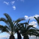 중앙목장 이미지