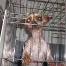 월배지구대 이미지