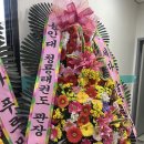 안중 푸르미르 태권도장 이미지