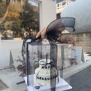 강릉명륜고등학교 | 강릉 강릉역 근처 저렴한 주문제작 레터링 케이크 맛집 [크림블랑] 내돈내산 후기
