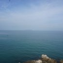 안목섬 Daum카페