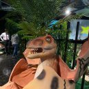 잭슨나인스 이미지