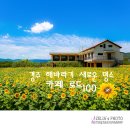 해바라기카페 이미지