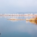 물안개공원 이미지