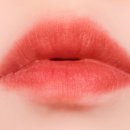 디어뮤트 | 디어메이 로스트리본 블러틴트 와일드베리, 뮤트선셋 사용 후기!
