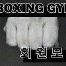 SBoxingGYM 이미지