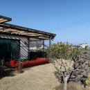 시연이네 하우스 이미지