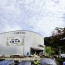 피오레 | 화성 카페 피오레 후기｜실내 폭포와 앵무새가 있는 골프장 근처 식물카페