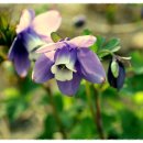 행복덩어리 이미지