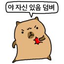 펄스PC방 네이버블로그