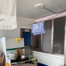 대권민박 이미지