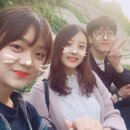 새로미 이미지