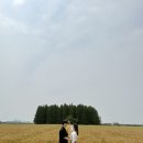 종금주유소 이미지