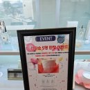 향수와 베이커리를 즐길 수 있는 파주이색카페 퍼퓸허브