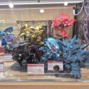 션샤인캣 이미지