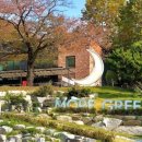 모어그린 이미지