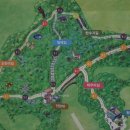 대정읍 영어교육도시내 곶자왈 이미지