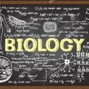 KIS High School 이미지