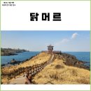 신촌리쉼터 화장실 | 제주 닭머르해안길 주차 정보, 억새명소 해안누리길 50코스 사진명소 위치
