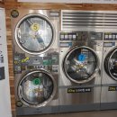 국제빨래방 이미지