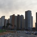운정몽땅부동산공인중개사사무소 이미지