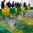 홍천강 둔치 이미지