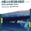 금메달체육관 | 제14회 광진구연맹회장배 수영대회] 아마추어 첫 출전 | 금메달 후기 | 수영장 준비물 | 플립턴•사이드턴