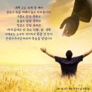 맘씨