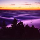 영 이 정 이미지