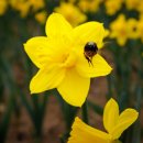 추사체 | 역사와 예술이 살아있는 추사고택 산책.추사체의 탄생지