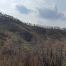 우리사슴목장 이미지