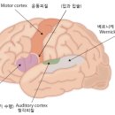 굿앤굿언어감각발달연구소 네이버블로그