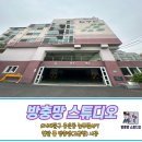 늘푸른약국 | 서대문구 방충망 "홍은동 늘 푸른 아파트" 현관 롤 방충망(고급형) 시공