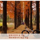 ◈말죽거리공원~서울문화공원 ~시민의숲 트레킹 이미지