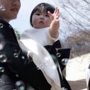 디어율