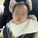 금강대교휴게실 | 8개월 아기랑 속초 1박2일🚘🌊🩵