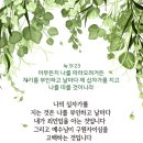 홀리씨즈교회 이미지