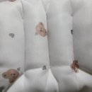 [제품리뷰] 베베누보 유모차라이너/목쿠션 구매후기